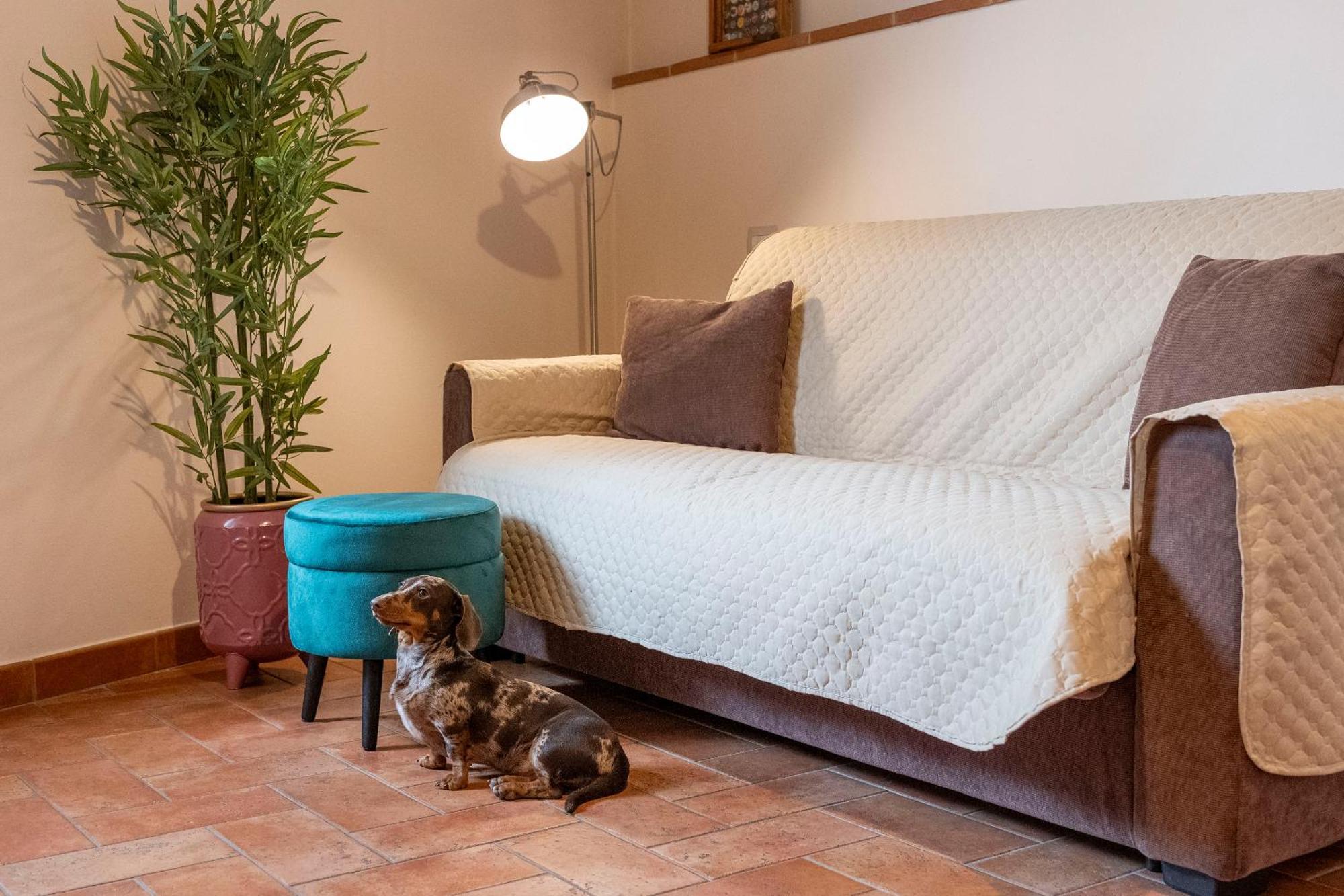Miva Di Piu Casa Vacanza Arezzo Buitenkant foto